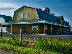 Training kennels